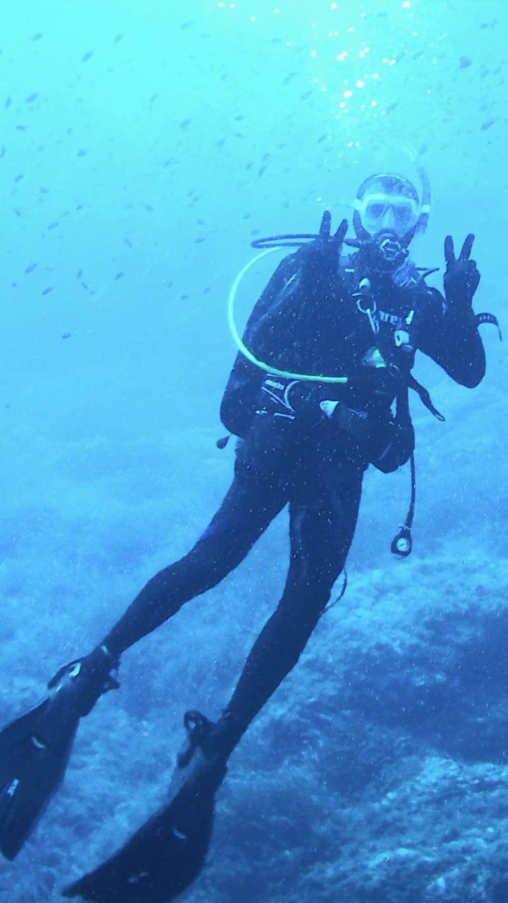 dario domenici diving